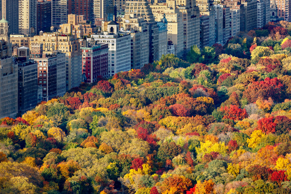 autumn in nyc